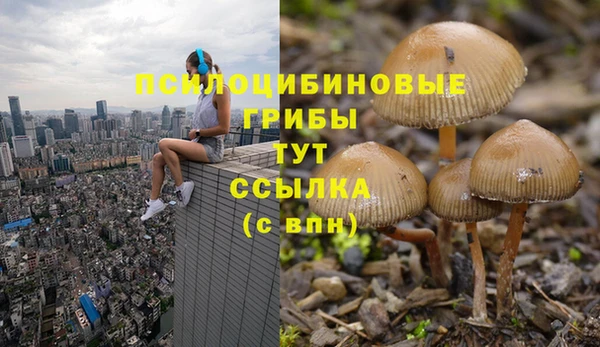 спиды Магас